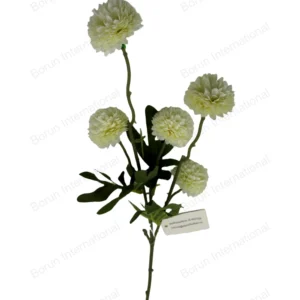 5-Head Cream White Ball Chrysanthemum Single Stem
